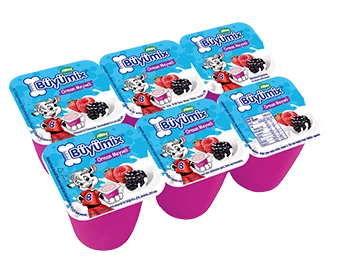 Sütaş Büyümix Orman Meyveli 6x40 g